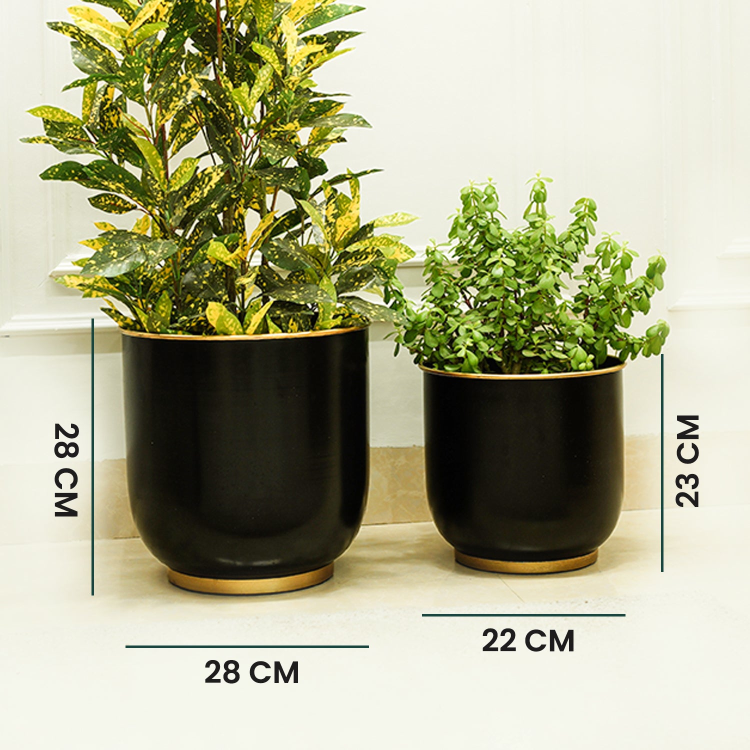 Floor Metal Planters, Set of 2 | Black