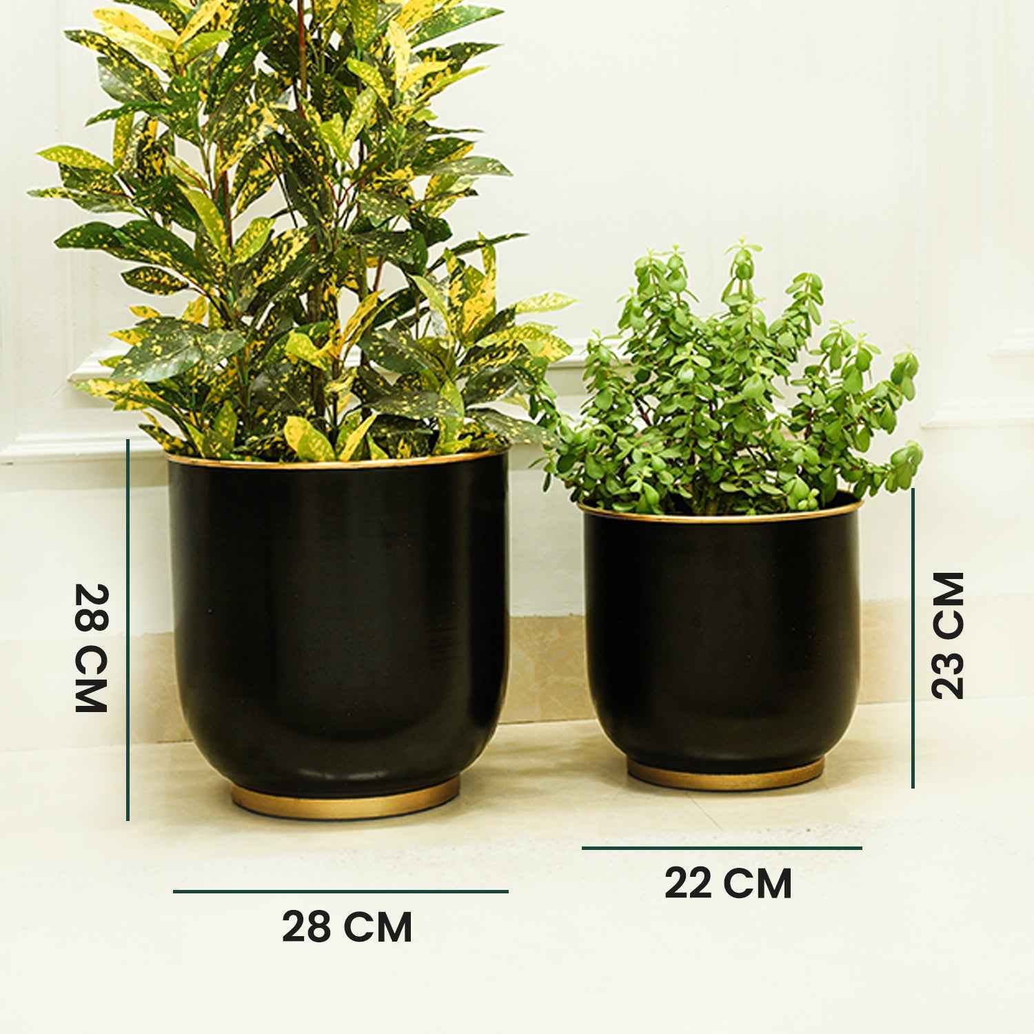 Floor Metal Planters, Set of 2 | Black