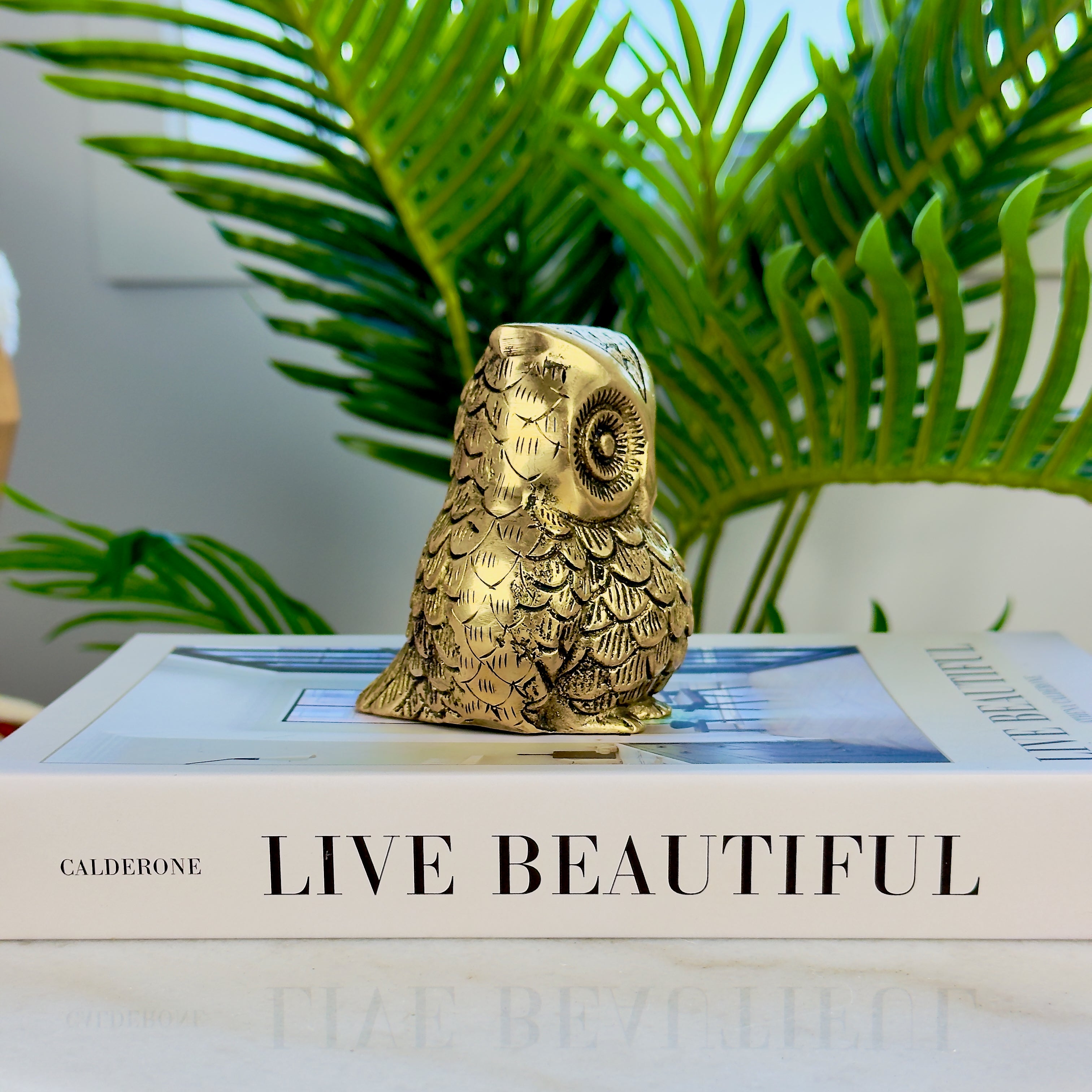 Product image of the Brass Owl Statue from Indian Impressions, featuring a finely detailed owl symbolizing wisdom and protection. Ideal for Vastu, home décor, or gifting, this handcrafted piece brings positive energy and elegance to any space.