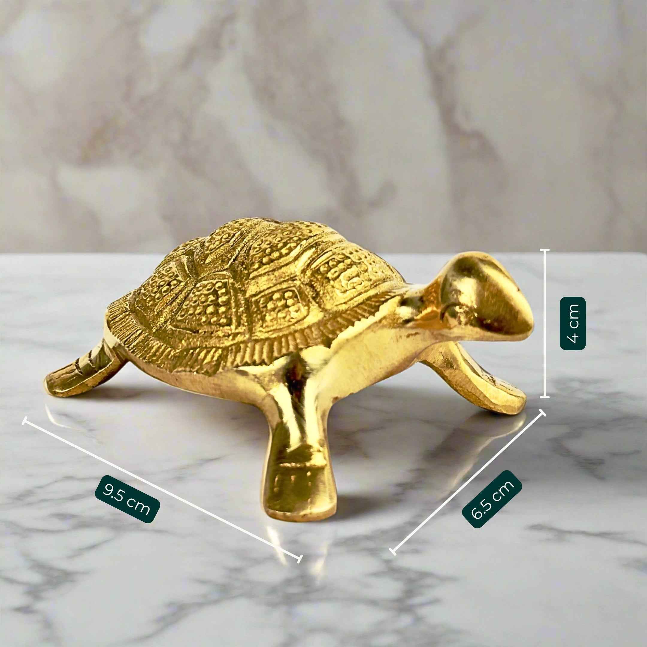 Brass Turtle