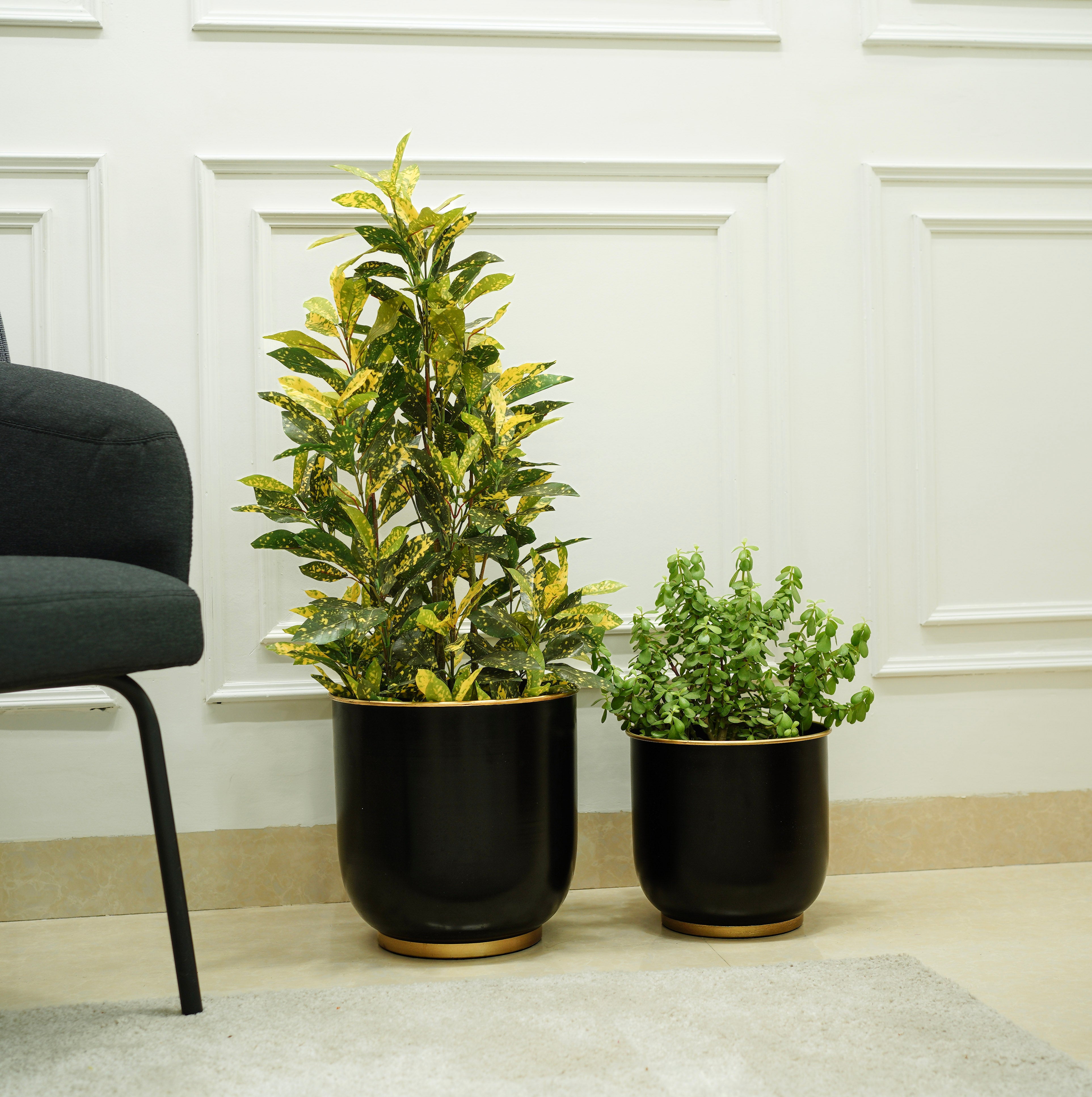 Floor Metal Planters, Set of 2 | Black