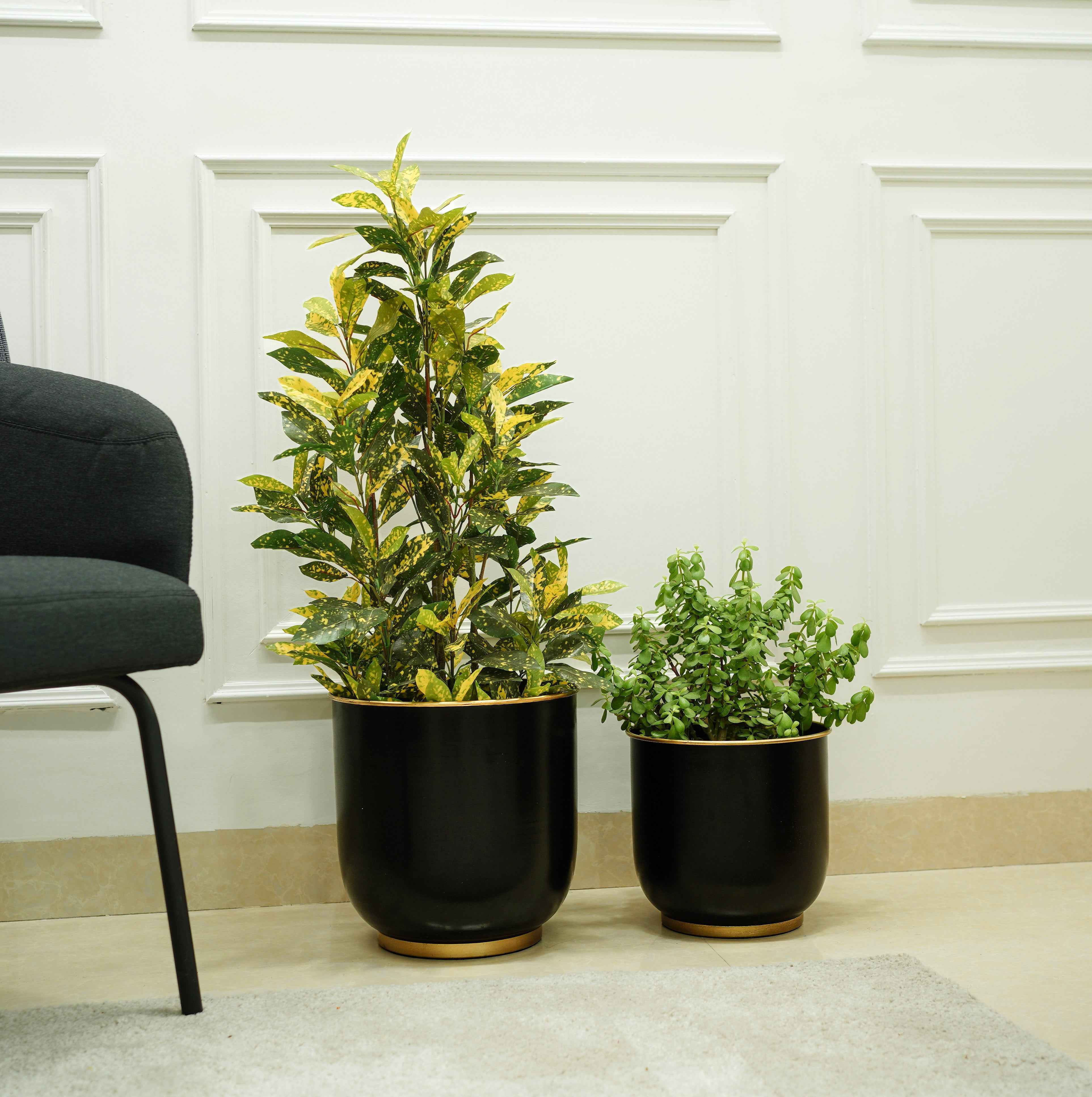 Floor Metal Planters, Set of 2 | Black