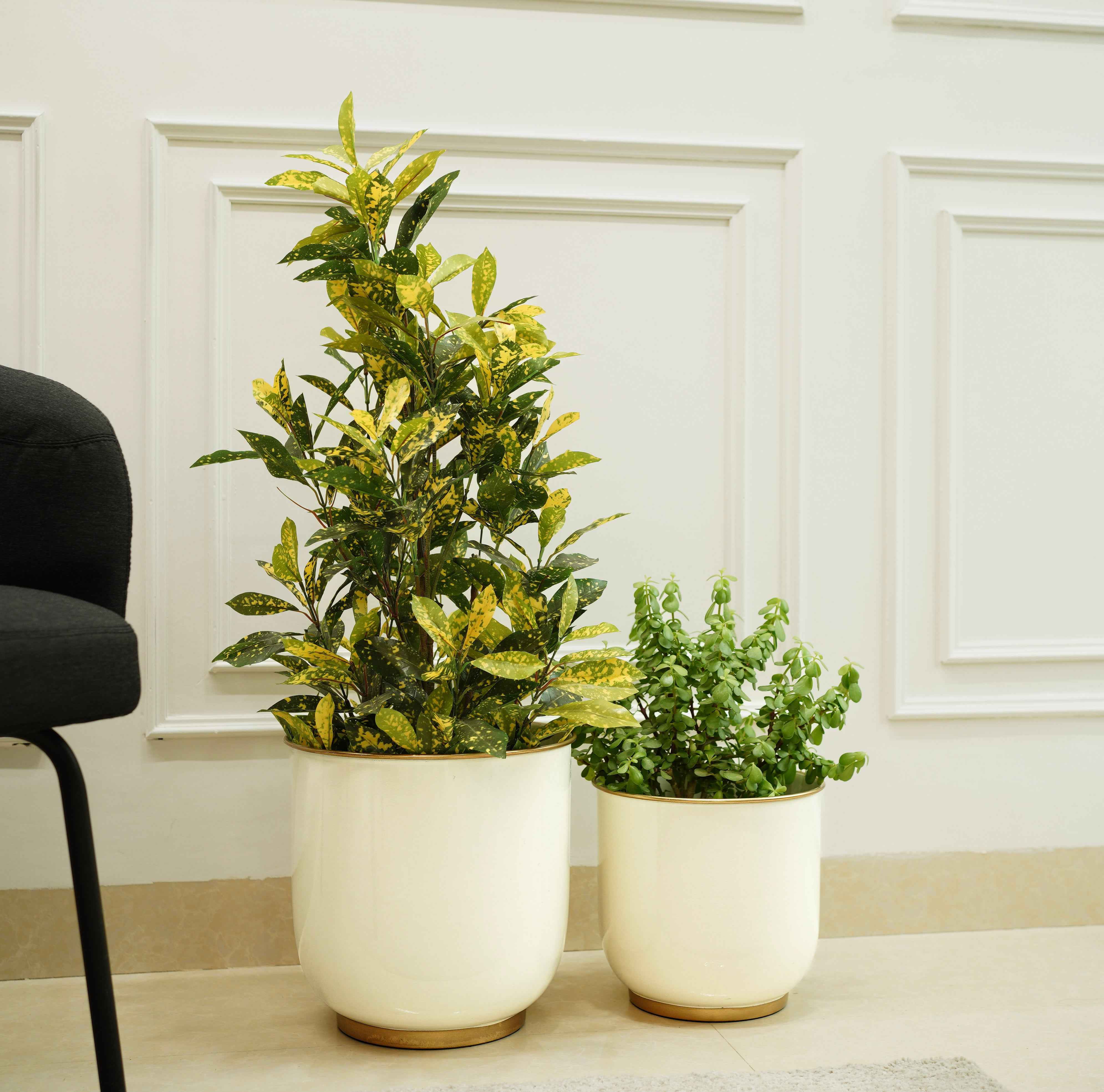 Floor Metal Planters, Set of 2 | White
