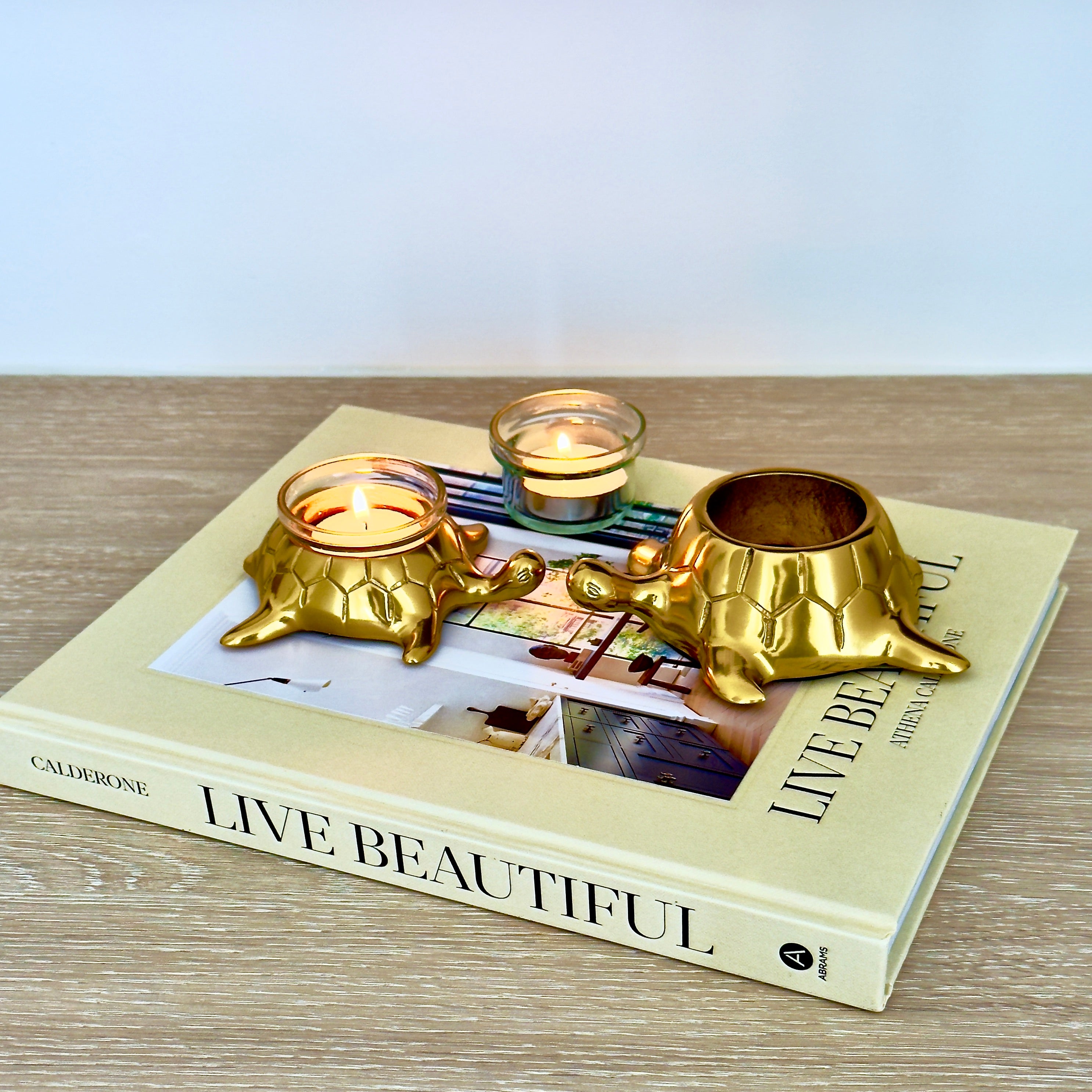 Product image of the Turtle Candle Holder Pair in Gold from Indian Impressions, featuring two beautifully crafted turtle-shaped candle holders with a polished gold finish. Ideal for holding candles, this pair symbolizes stability and longevity. Perfect for Vastu, home décor, or gifting, adding elegance and positive energy to any space.