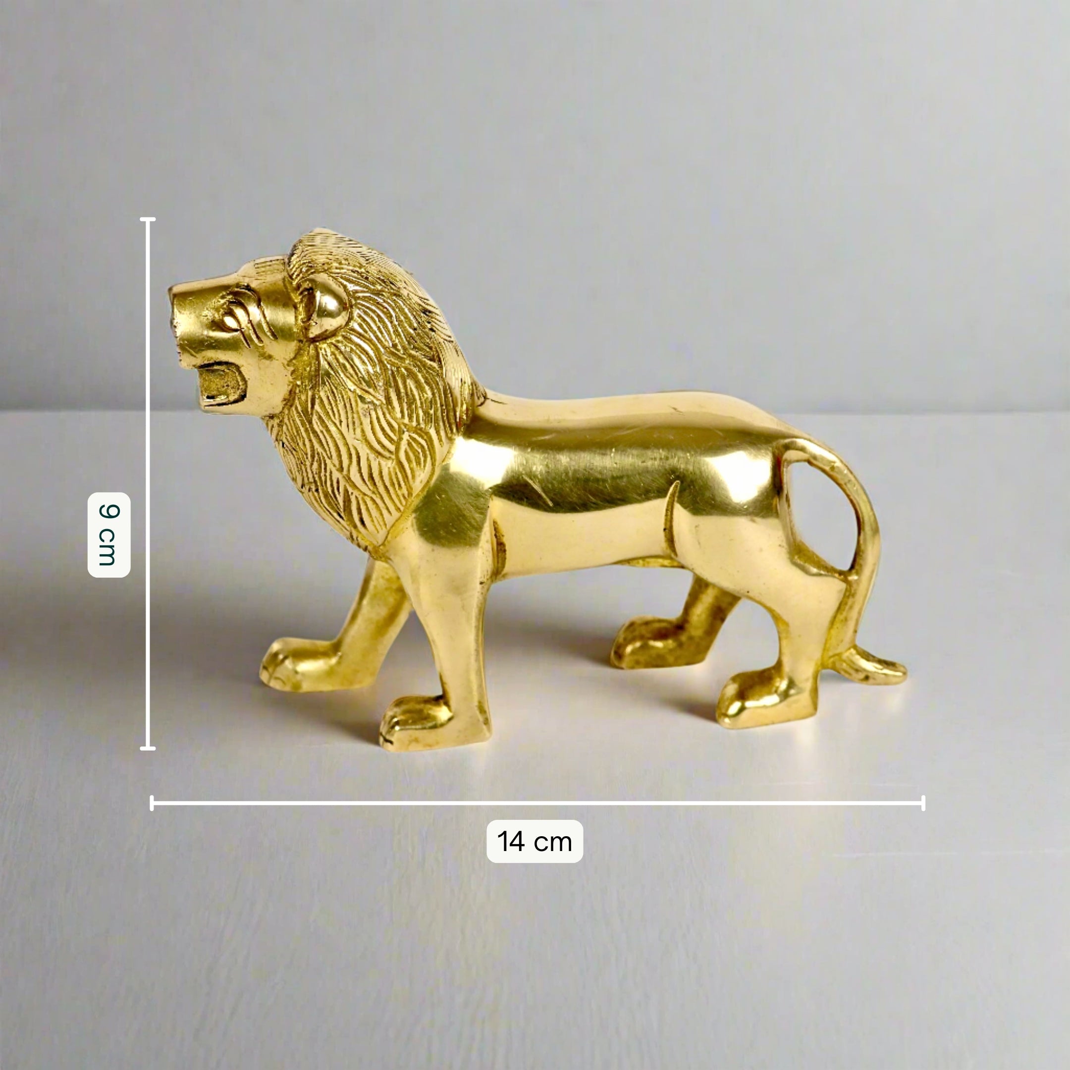 Brass Lion - Indian Impressions