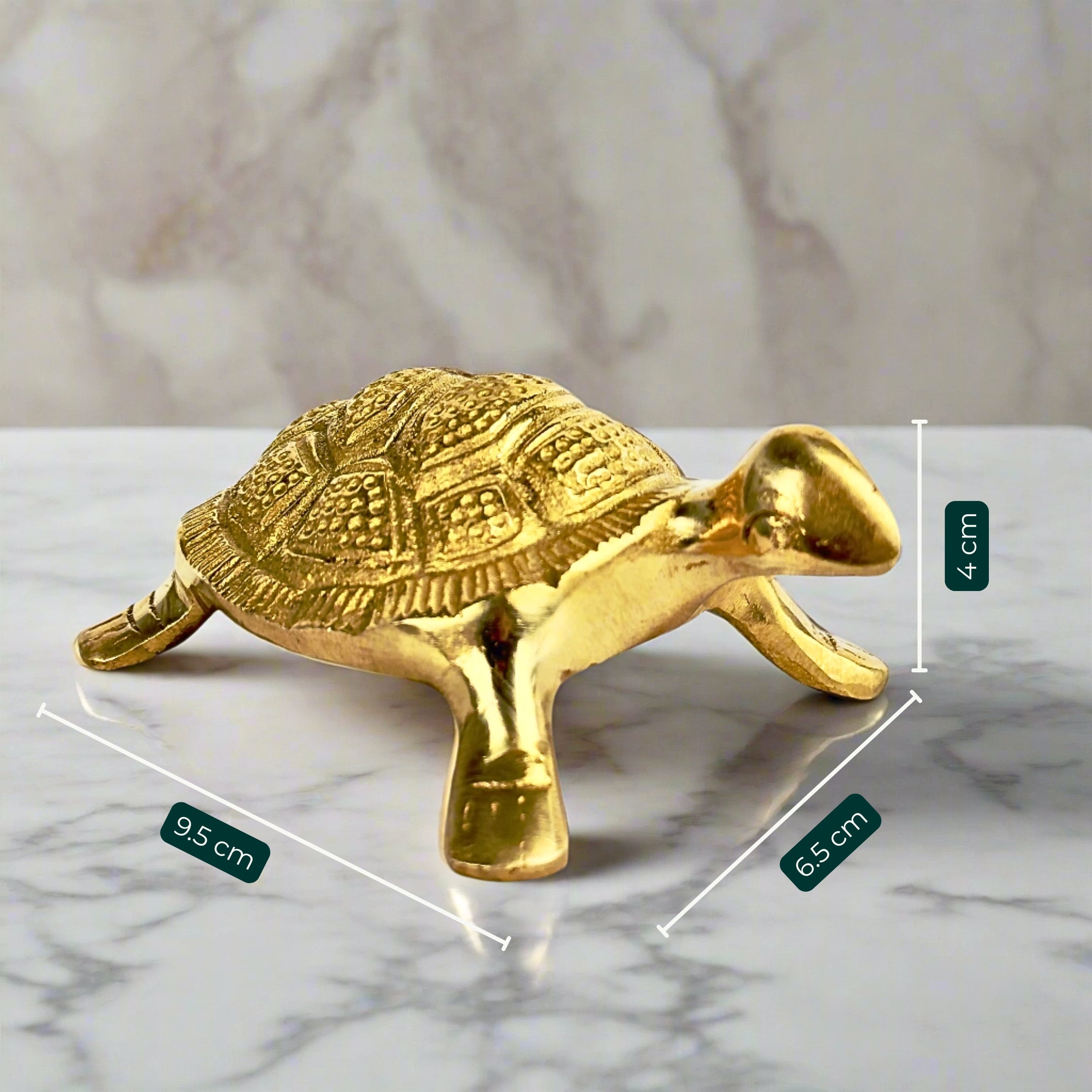 Brass Turtle